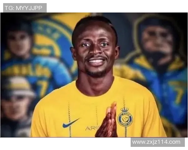 帅哥演员与足球明星的名字汇总及其魅力解析