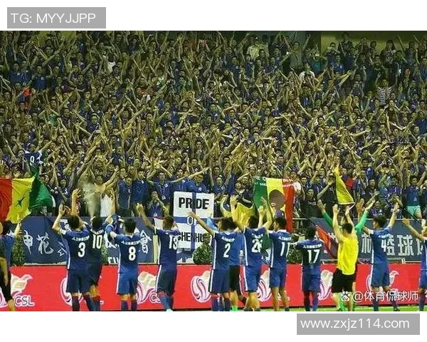 足球明星不幸坠机身亡全球球迷哀悼传奇人生的终结